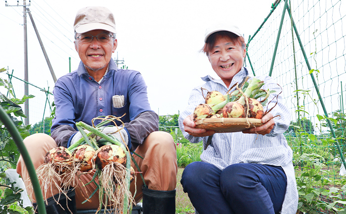 家庭菜園をする男性