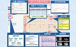 地域医療連携システムID-Link